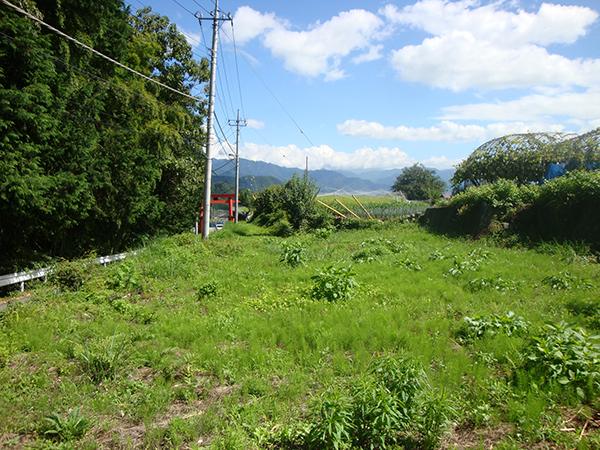 富士山を望むブドウの里の土地