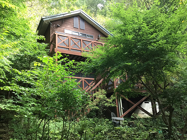 「青木の森」に700坪の敷地に建つ木の温もりを感じられる住宅