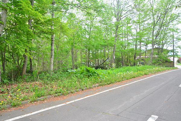 弟子屈神社のすぐ前にある、道路向かいの沿道の広い山林
